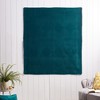Greenland Home Fashions Riviera Velvet 2008CTHR Accessory Throw - 2 of 4