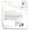 Free Clear HE Liquid Laundry Detergent - up&up™ - 2 of 3