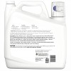 Free Clear HE Liquid Laundry Detergent - up&up™ - image 2 of 3