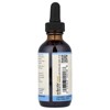 Eclectic Herb Horsetail Extract, 2 fl oz (60 ml) - 3 of 4