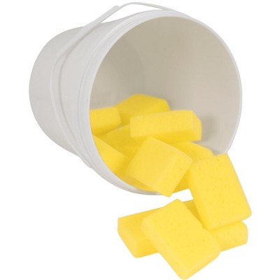Bucket and Sponge Assortment, 2 x 3 x 1 Inches