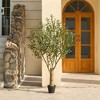 DR.Planzen 7FT Artificial Olive Tree with Thick Stump - UV Resistant Faux Plant for Indoor/Outdoor, Black Pot & Realistic Green Leaves - 4 of 4