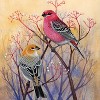 New York Puzzle Company Pine Grosbeaks 500 Piece Puzzle - 3 of 4