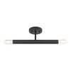 Livex Lighting Copenhagen 2 - Light Semi-Flush Mount in  Black - 4 of 4