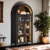 FURNIinspire Utility Storage Cabinets Living Room Decorative Display Cabinet, Showcase, Kitchen Pantry Cupboard With Shelf, Black, 18.1"*36"*74.8" - 2 of 4
