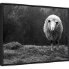 Amanti Art Wondering sheep by Ajven Canvas Wall Art Print Framed 24 x 18-in. - 3 of 4