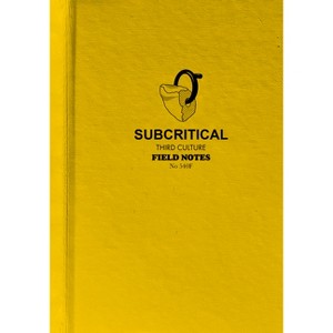 Subcritical - by  Martha Cary Eppes & Marek Ranis & José L S Gámez (Paperback) - 1 of 1