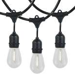 Novelty Lights Warm White LED Edison Lights with 26 Suspended S14 Filament Bulbs 48 Feet