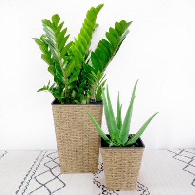 Maggift Planters Head Bust Planter Greek Style Cement Head Planter Indoor Outdoor Garden Decor Plant Pots for Living Room, Brown, 9.5"*9.5"*13.8"