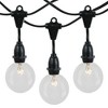 Novelty Lights Globe Outdoor String Lights with 25 suspended Sockets Suspended Black Wire 25 Feet - 2 of 4