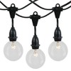 Novelty Lights Globe Outdoor String Lights with 25 suspended Sockets Suspended Black Wire 25 Feet - image 2 of 4