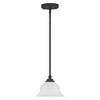 Livex Lighting North Port 1 - Light Pendant in  Black - 4 of 4