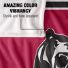 Lenoir Rhyne University Primary Logo Silky Touch Blanket White 50x60 - 4 of 4