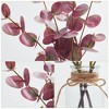 Artificial Eucalyptus Stems in Glass Vase with Faux Water, Realistic Fake Plant for Desk Shelf Bathroom Table, Double-Sided Leaves, 2PCS - 4 of 4