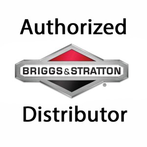 Briggs and Stratton Genuine OEM Replacement Air Filter - 4142 - 1 of 3
