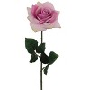 Floral Home 20" Stem Long Lavender Open Rose - 12-Piece - 2 of 4