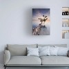 Trademark Fine Art -Moises Levy 'Water Tree X' Canvas Art - 2 of 4
