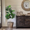 Artificial Tree, Faux Fiddle Leaf Fig Tree with Pot, 4/5/6ft Tall Ficus Tree Artificial - 4 of 4