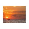 Trademark Fine Art - Jason Shaffer 'Fishing Boat Sunset' - 2 of 4