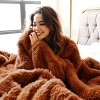 Bedsure | PV Fleece Blanket  a Chic Addition with Brushed Longfur - 2 of 4