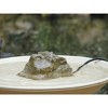 Birds Choice Granite Bubbler Rock & Electric Pump for Bird Bath Fountain Agitator: Resin Construction, No Assembly Required - 4 of 4