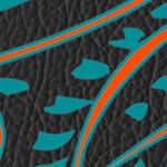 miami dolphins