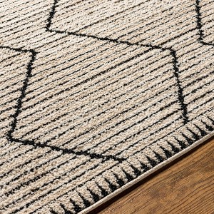 Hauteloom Maonon Area Rug - 1 of 4