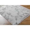 Mark & Day Alfonso Woven Indoor Area Rugs Light Gray - 3 of 4