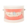 Unique Bargains Fake Teeth Grills Fashion Double Row Diamond for Hip Hop Gift 1 Set - 2 of 4