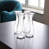 Slickblue Glass Carafe Set, Narrow Neck Pitchers, Dishwasher Safe Drinkware, For Parties, Clear, Size Options - 2 of 3