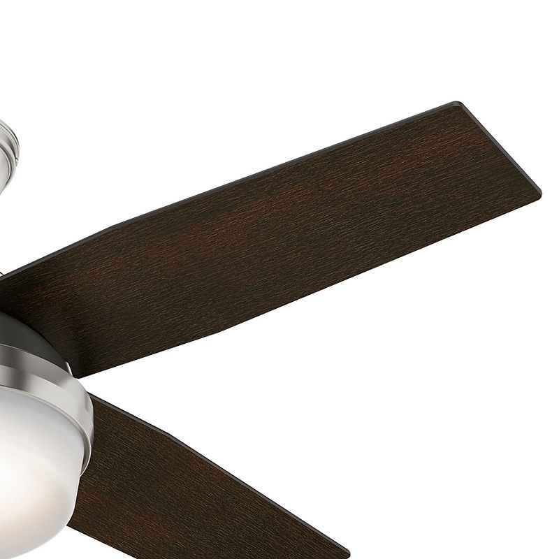 44" Dempsey Ceiling Fan with Remote (Includes LED Light Bulb) - Hunter Fan, 6 of 16