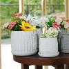 KTMBDW Plant Pots, Ceramic Planters with Drainage Holes,Nursery Planting Pot for Indoor Out Door Plants - 2 of 4