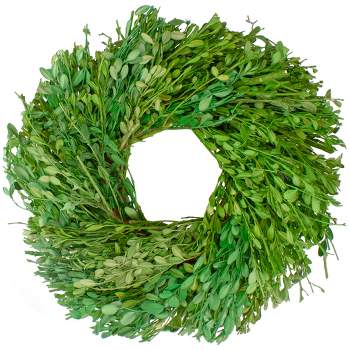 Northlight Green Foliage Artificial Spring Wreath, 11-Inch