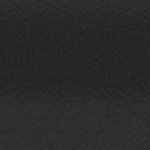 tampa bay buccaneers