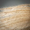 Sullivans Artificial Wheat-Colored Feathery Reed 48"H Off-White - 2 of 4