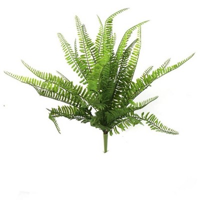 Floral Home 22" Boston Fern - 6-Piece