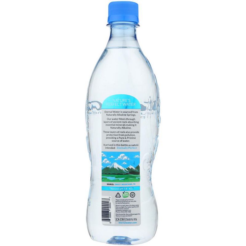 Eternal Naturally Alkaline Spring Water - Case of 24/600 ml, 3 of 6