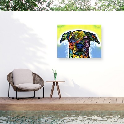 "Fiesta" Outdoor Canvas