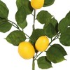 Vickerman 20" Artificial Green and Yellow Salal Leaf Lemon Sprays. Pack of 4. - image 2 of 4