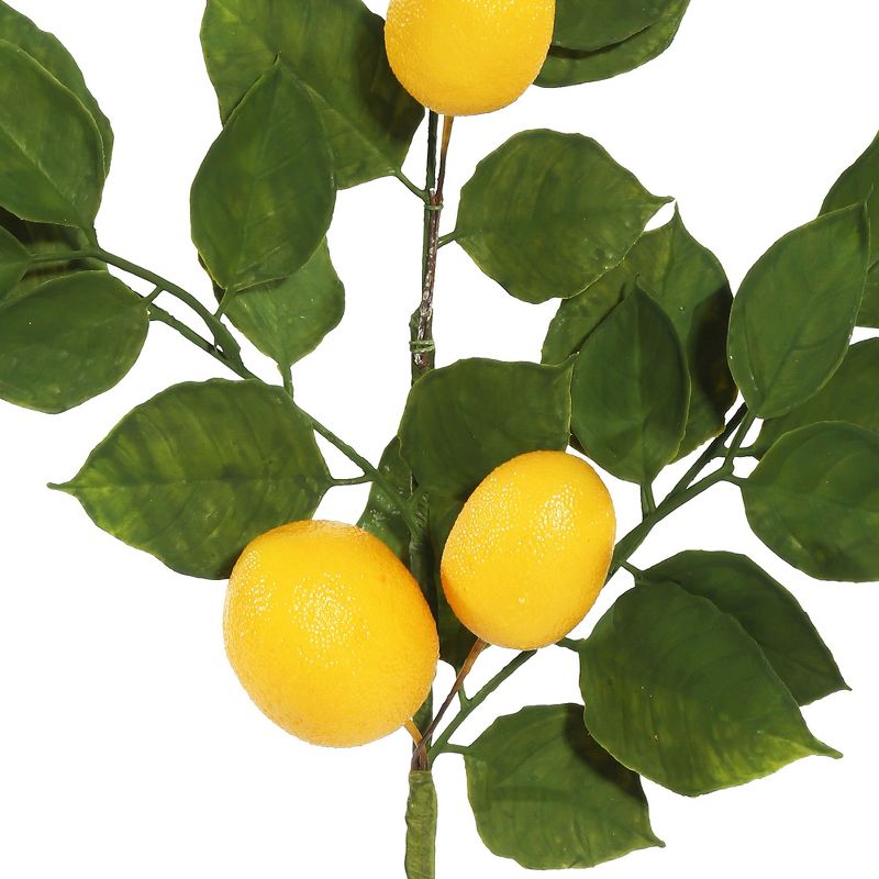 Vickerman 20" Artificial Green and Yellow Salal Leaf Lemon Sprays. Pack of 4., 2 of 7