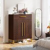 Tribesigns Shoe Cabinet with Doors, Modern Shoe Rack with Drawer - 3 of 4