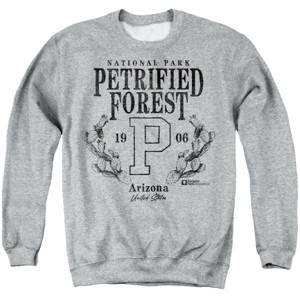 Men's Petrified Forest National Park Prickly Pear Wreath Crewneck Sweatshirt - 1 of 4
