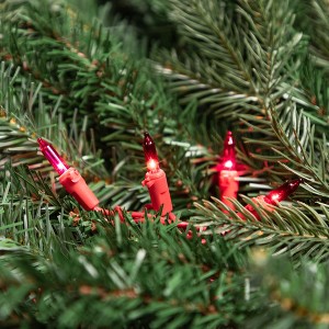 Northlight Mini Christmas Light Set - Red and Pink - 10' Red Wire - 50ct - 1 of 4