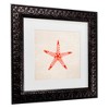 Trademark Fine Art - Emel Tunaboylu  Sea Star Matted Framed Art - 3 of 4