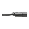Tripp Lite Heavy-Duty PDU C13-to-C14 Power Cord, 6-Ft., P005-006 - 3 of 4