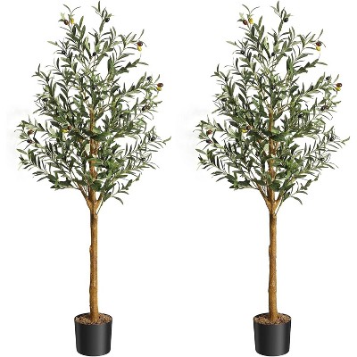 60"(2pcs)