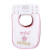 Hudson Baby Infant Girl Cotton Terry Drooler Bibs with Fiber Filling, Girl Holiday, One Size - 2 of 2