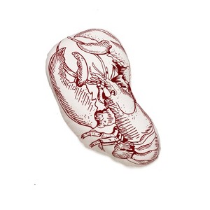 Beachcombers COTTON LOBSTER Small/Petite Accent Pillow, 10" x 16" - 1 of 4