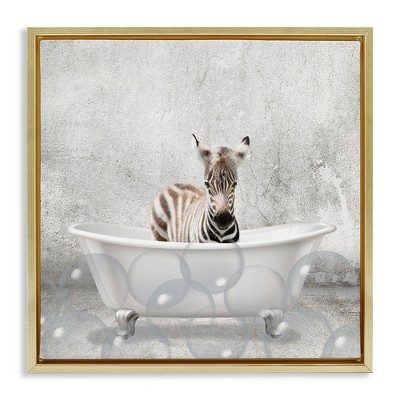 Stupell Industries Baby Zebra Bath Time, 25" x 25"