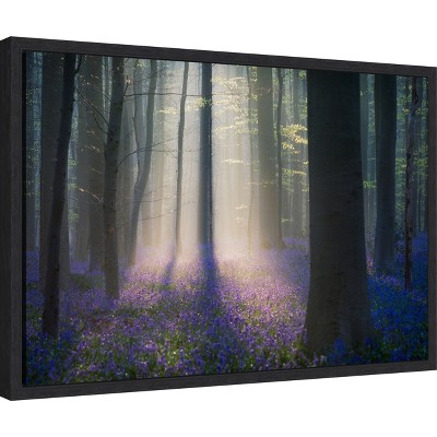 Adrian Popan Velvet Light Black Framed Canvas Print 23'' x 16''